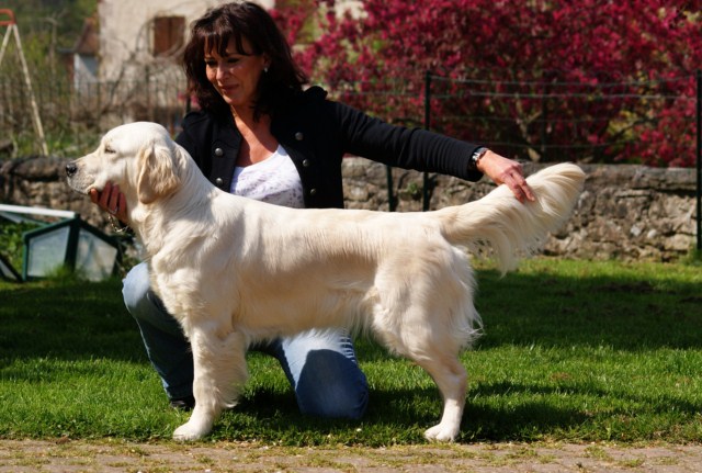 Emmy lady Du Domaine De La Taye